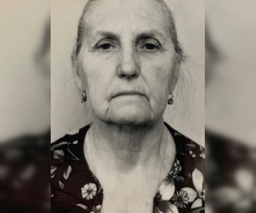 На Дону без вести пропала 86-летняя пенсионерка