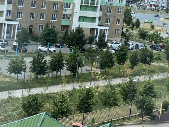 В Левенцовке в Ростове высохли дубы, посаженные в День древонасаждения
