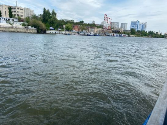Водоемы Ростова признали самыми грязными в регионе