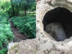 Ростовчане пожаловались на невыносимую вонь в парке имени Октября