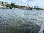 Водоемы Ростова признали самыми грязными в регионе