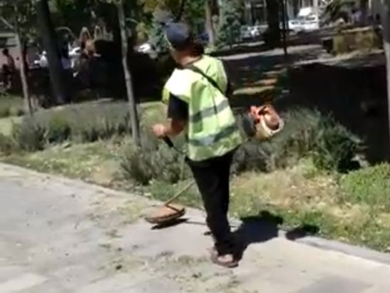 В центре Ростова «стригут» тротуары газонокосилкой: видео