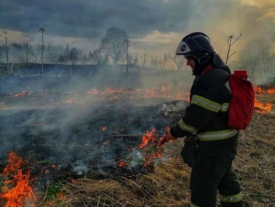 В 16 районах Ростовской области объявили штормовое предупреждение
