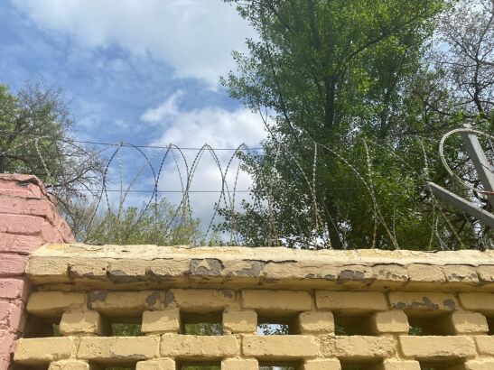 В Ростовской области просят помиловать пенсионерку, осужденную за коммерческий подкуп