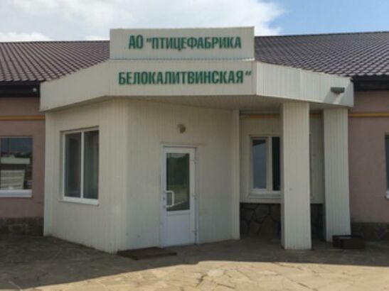 За 900 миллионов рублей продают старейшую птицефабрику в Ростовской области