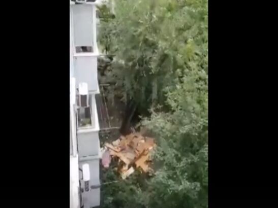В Ростове на улице Тимошенко женщина выбросила кучу тяжелого мусора из окна