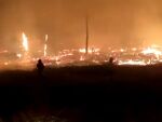 Крупный пожар в Каменском лесничестве тушат уже больше 16 часов