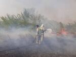 В Ростове рядом с садовым товариществом произошел крупный ландшафтный пожар
