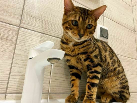 Центр Ростова-на-Дону останется без воды почти на сутки