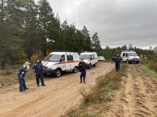 В Ростовской области нашли пожилого грибника, потерявшегося в лесу