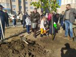 Алексей Логвиненко: В акции по озеленению города приняли участие более 4 тысяч жителей