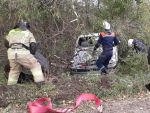 В Ростовской области легковушка вылетела в кювет и врезалась в дерево