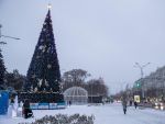 В Ростове 30 ноября начали устанавливать главную городскую елку