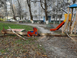 В центре Ростова на детскую площадку обрушилось огромное аварийное дерево