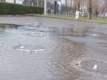 В Ростове парк Островского затопило из-за прорыва трубы