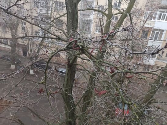 Гололед и дождь обещают в Ростовской области в Рождественский сочельник