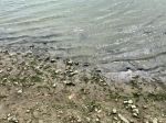 Из-за ураганного ветра уровень воды в Дону снизился до критических отметок