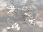 В Ростовской области речку Быструю заливает фекалиями