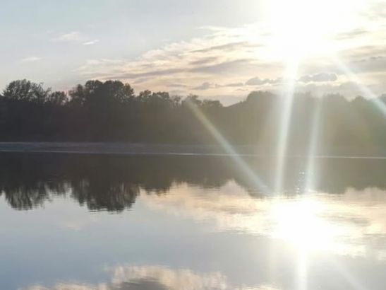 На мониторинг загрязненности водоемов Ростовской области потратят 3 миллиона рублей