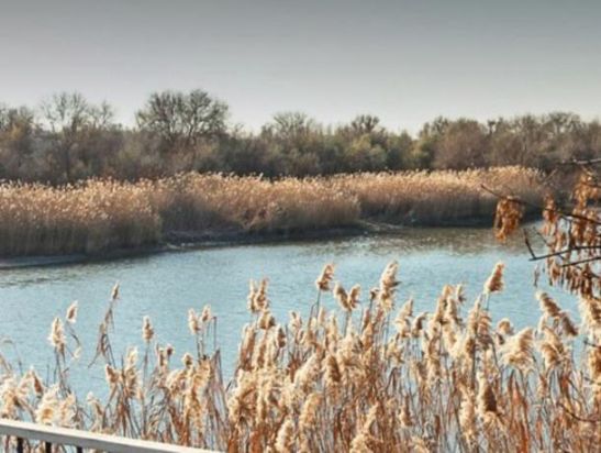 В Ростове двое детей утонули в реке, провалившись под лед