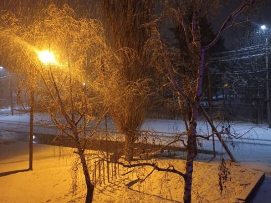 МЧС объявило в Ростовской области штормовое предупреждение из-за снегопада
