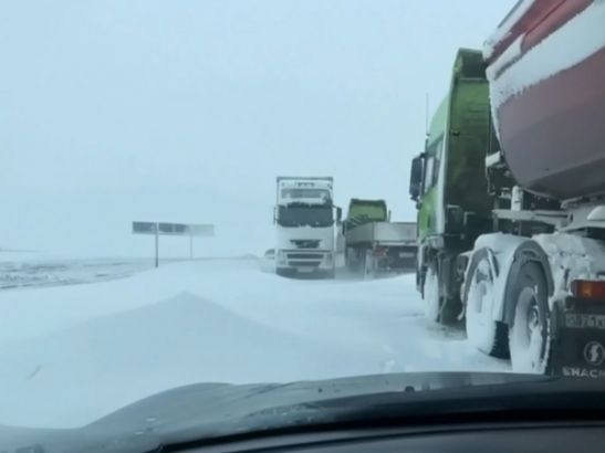Волонтеры ищут добровольцев для помощи людям, застрявшим в пробке на М-4 «Дон»