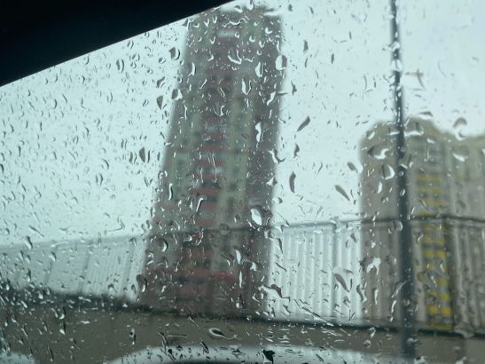 В Ростовской области ожидаются дождь и усиление ветра до 14 м/с