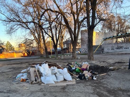 В Ростове два месяца не вывозят мусор из парка имени Чуковского