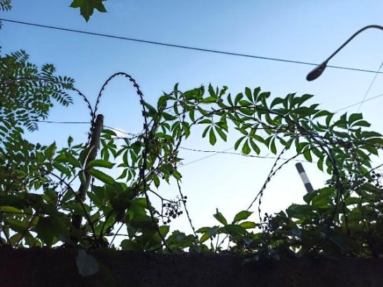 В Ростове осудили экс-сотрудника СИЗО № 1, проносившего заключенным «запрещенку»