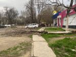 В Ростове упавшее на тротуар дерево создает опасность для пешеходов