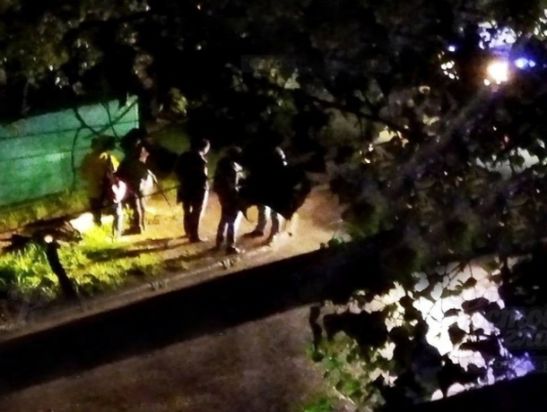 В Ростове во время сильного ливня погибла пожилая женщина
