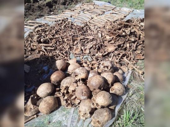 В Сальском районе нашли останки десятков солдат, погибших в годы ВОВ