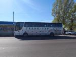 В Сальске водитель автобуса сбил пешехода