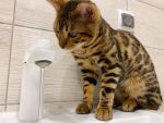 В Ростове сотни жителей останутся без горячей воды с 17 апреля