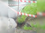 В Ростове огородили водосточный коллектор, в котором погибла пенсионерка