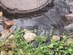 В Батайске улицу Пролетарскую заливает сточными водами