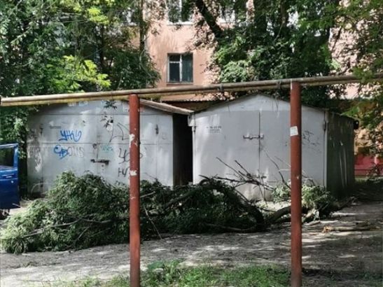 В Ростове на Западном крупная ветка дерева упала рядом с детской площадкой