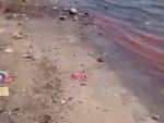 Жителей Ростова напугали реки неизвестной красной жижи в Дону