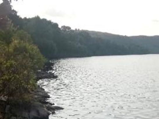 В Ростовской области мужчина скончался на отдыхе возле водоема