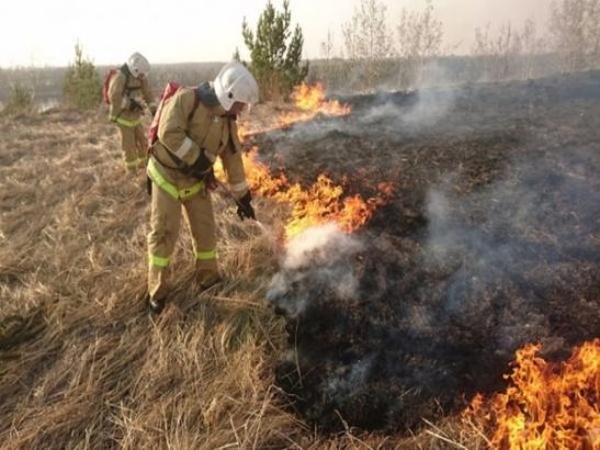 В Ростовской области до 1 августа продлили штормовое предупреждение из-за пожароопасности