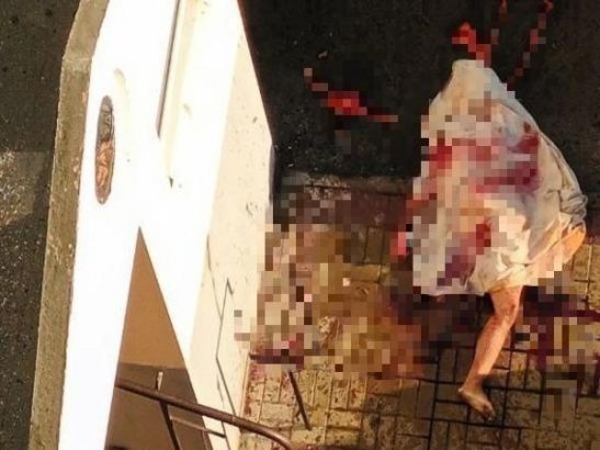 В Ростове в Суворовском мужчина устроил резню и покончил с собой