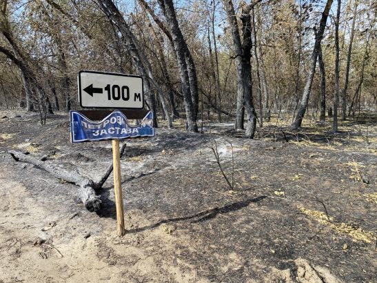 На Дону прогнозируют чрезвычайную пожароопасность в ближайшие сутки