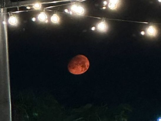 Ростовчане стали свидетелями «Осетрового суперлуния»