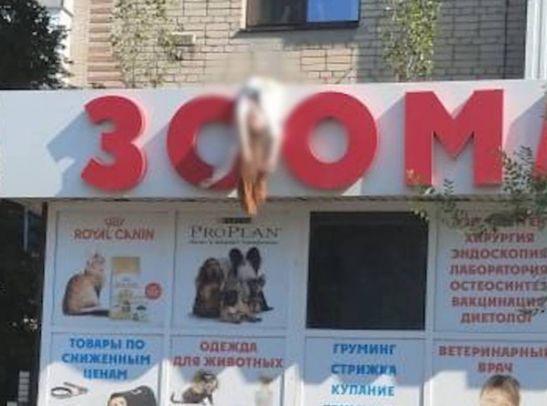В Азове женщина выпала из окна квартиры