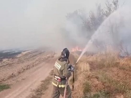 В Орловском районе двое суток тушат крупный ланшафтный пожар