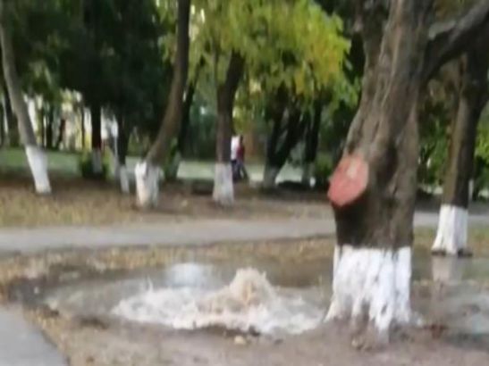В Ростове территорию лицея затопило из-за прорыва трубы