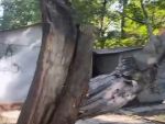 В Ростове возле школы № 109 огромная ветвь может упасть на прохожих