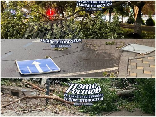 В Ростове штормовой ветер повалил деревья и дорожные знаки