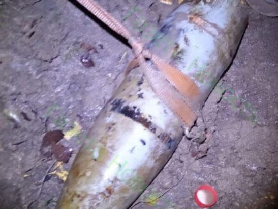 В Ростовской области на берегу Северского Донца нашли боевой снаряд