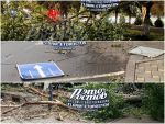 В Ростове штормовой ветер повалил деревья и дорожные знаки